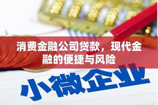 剑川消费金融公司贷款，现代金融的便捷与风险