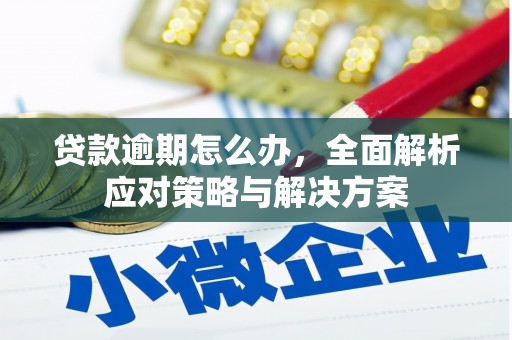 剑川贷款逾期怎么办，全面解析应对策略与解决方案