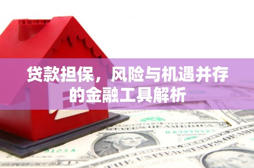 剑川贷款担保，风险与机遇并存的金融工具解析