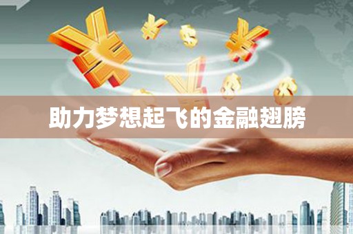 剑川助力梦想起飞的金融翅膀