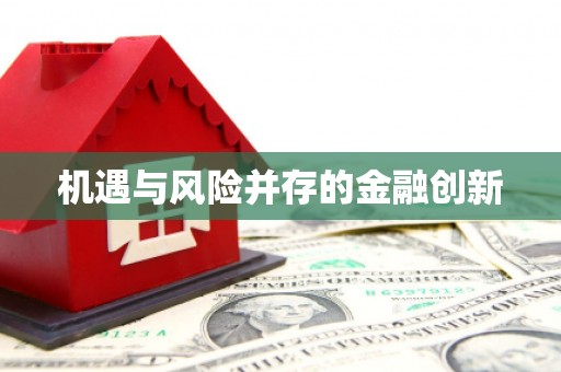 剑川机遇与风险并存的金融创新