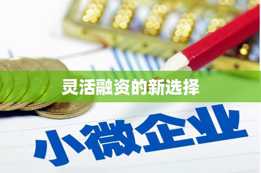 剑川灵活融资的新选择