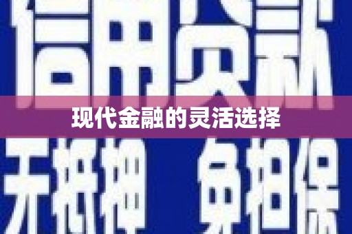 剑川现代金融的灵活选择