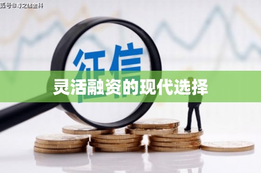 剑川灵活融资的现代选择