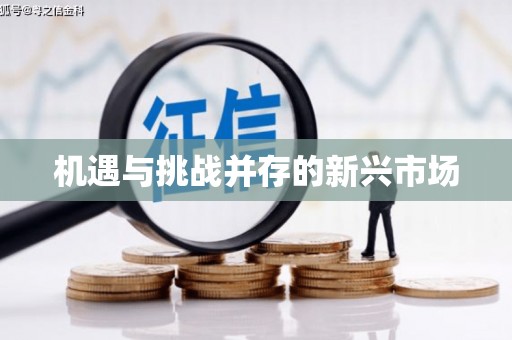 剑川机遇与挑战并存的新兴市场