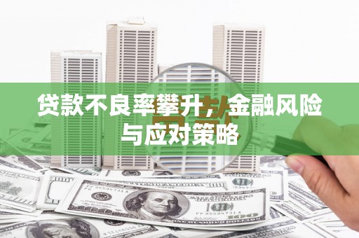 剑川贷款不良率攀升，金融风险与应对策略